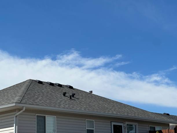 Best Gutter Installation and Repair  in Torrington, WY